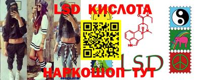 стафф Краснодар