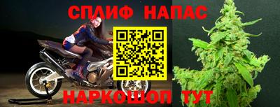 стафф Краснодар