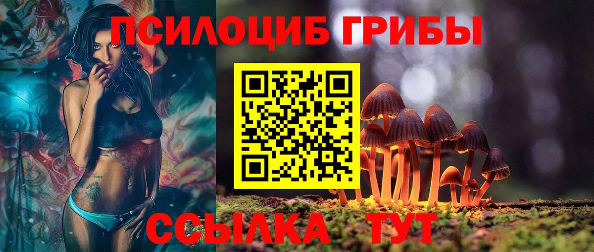 Псилоцибиновые грибы мицелий Кирово-Чепецк